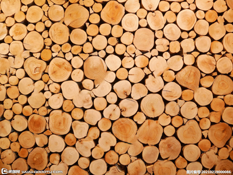 木头木桩