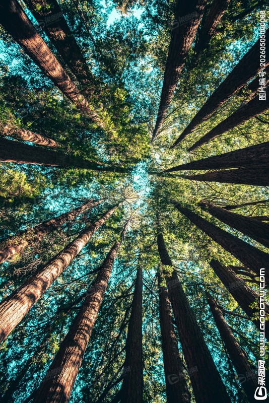 casey-horner-4rDCa5hBlCs-unsplash