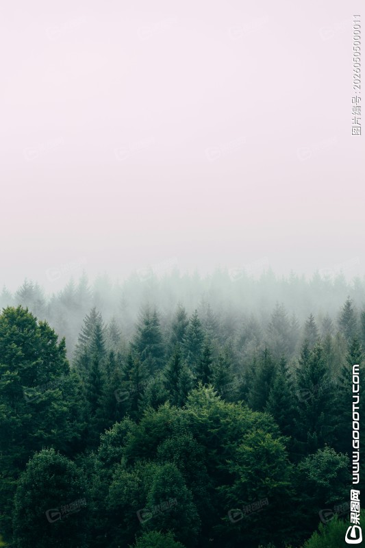 filip-zrnzevic-QsWG0kjPQRY-unsplash