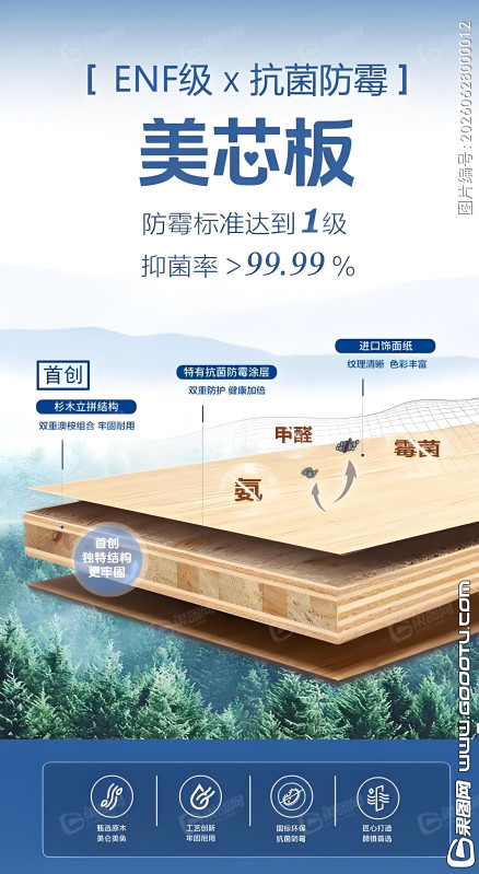板材素材12