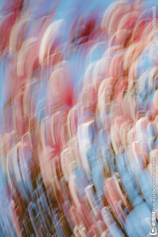 luise-and-nic-3bN3RT2vdGM-unsplash