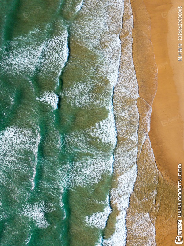 bernd-dittrich-j1PArXjIvoU-unsplash